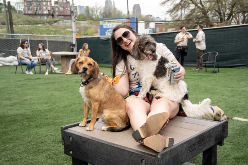 Bar crawler holds dogs at bar
