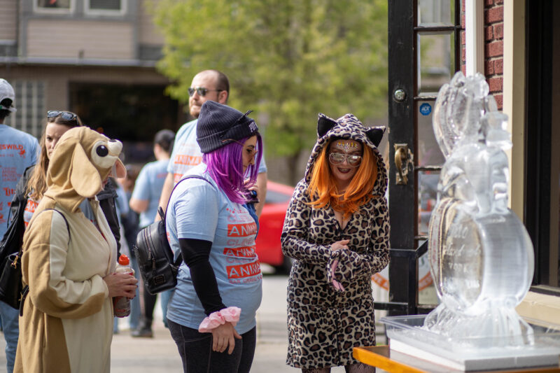 Women dressed up for Cleveland Animals Bar Crawl