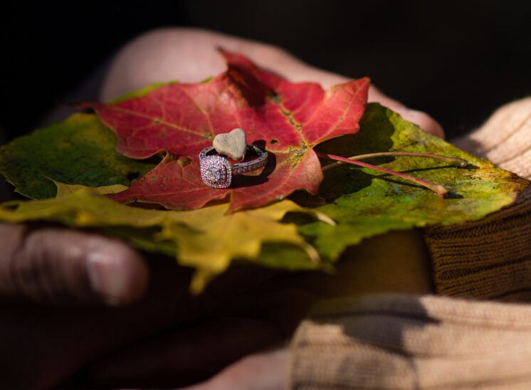 Engagement ring on leaf with rock heart