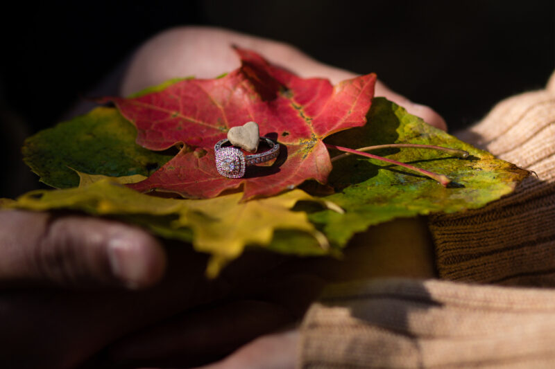 Engagement ring on leaf with rock heart